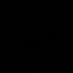 Meet your Posher, Joselin